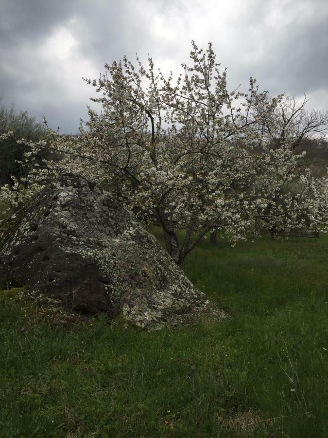 Giardino Di Potentino Седжано Экстерьер фото